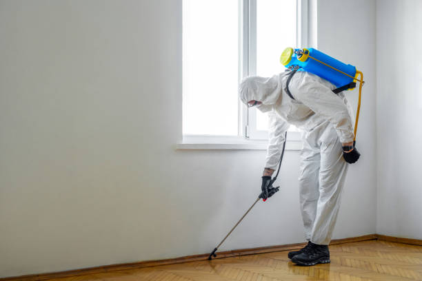 Best Affordable Pest Control Services  in Lewistown, PA